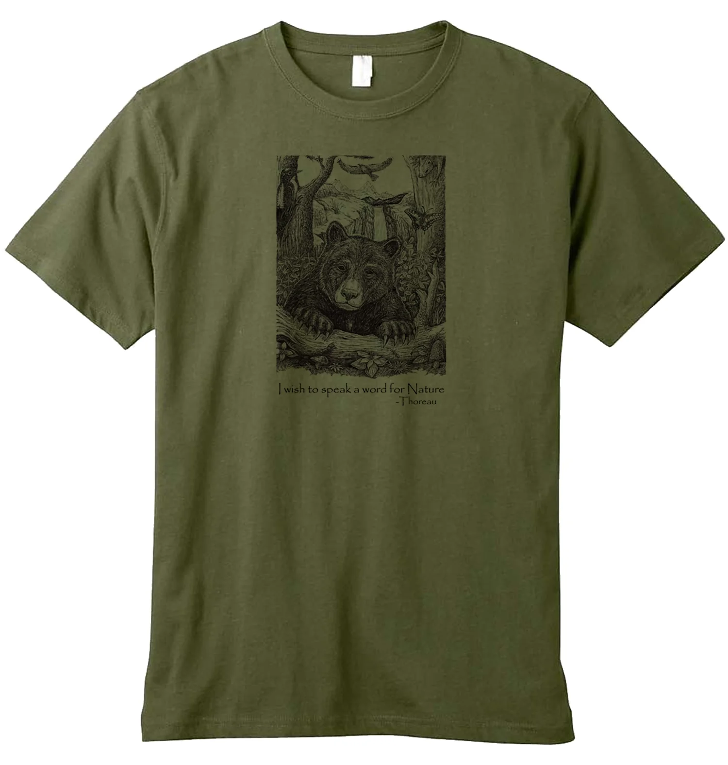 Bear Wonder - Image 3