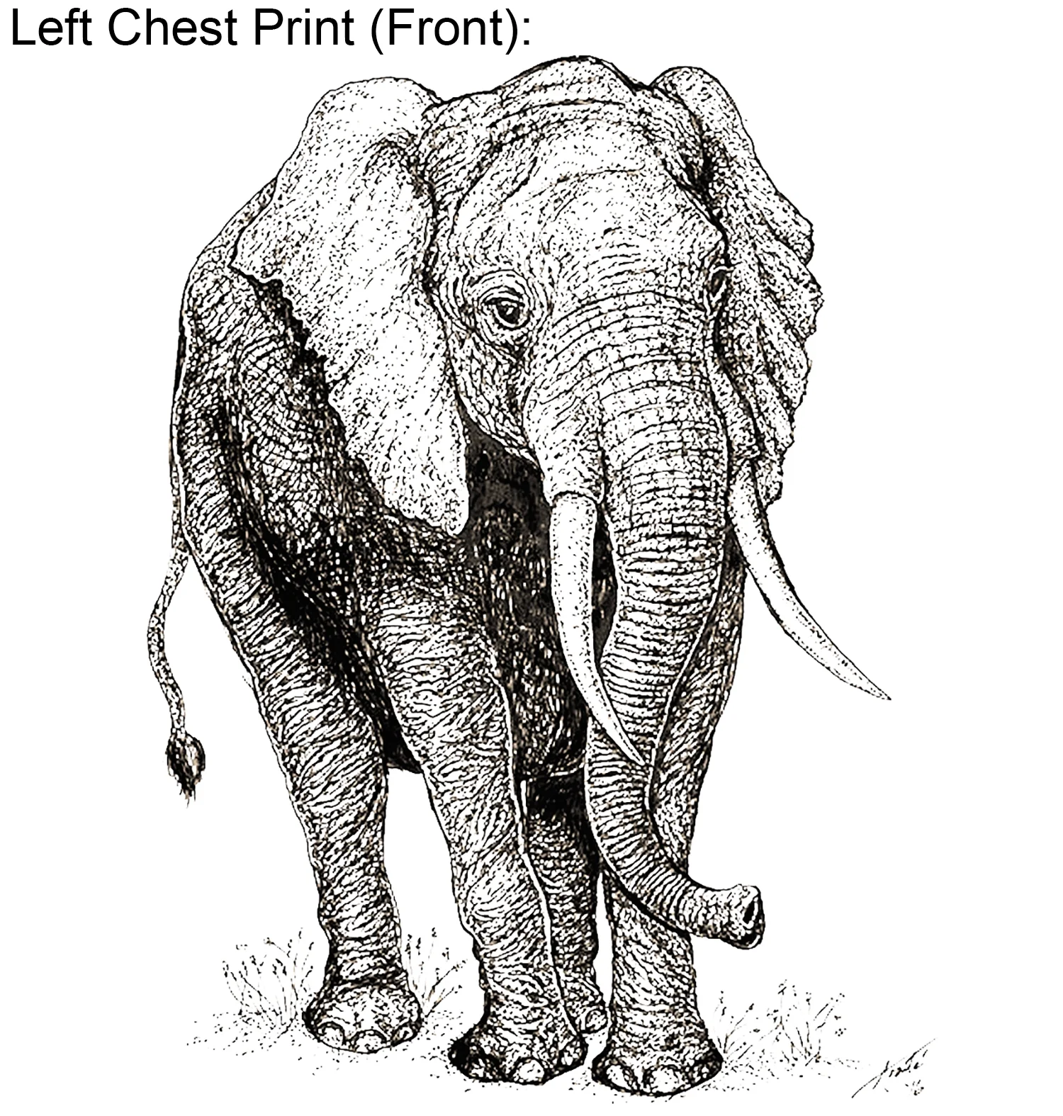 Elephants - Environmental Investigation Agency Fundraiser - Image 4