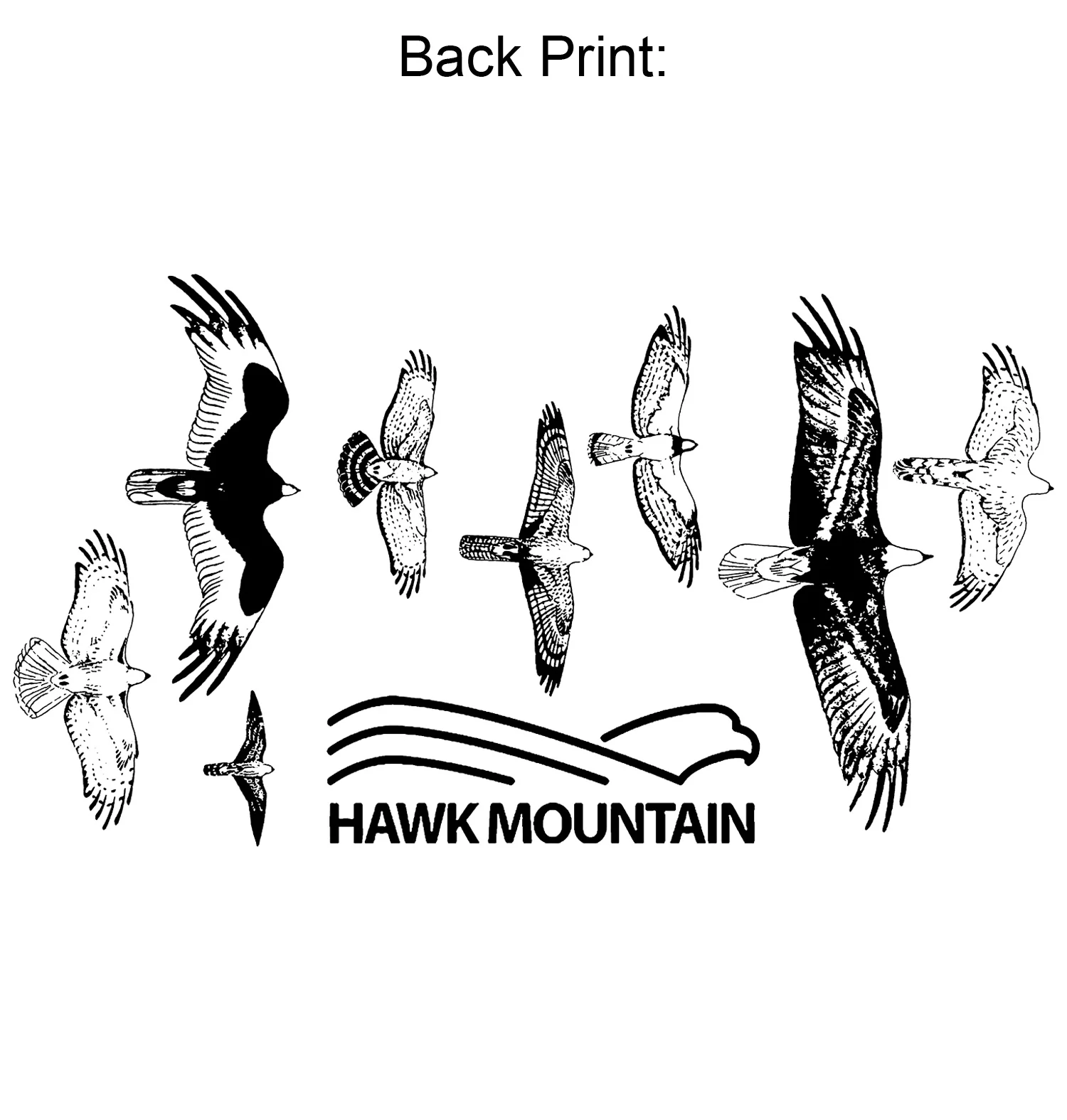 Hawk Mountain - Image 3