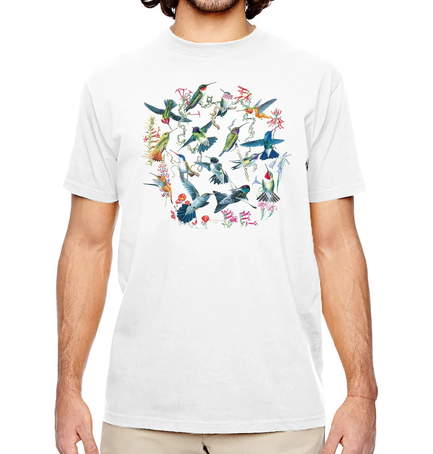 Hummingbirds - Image 3