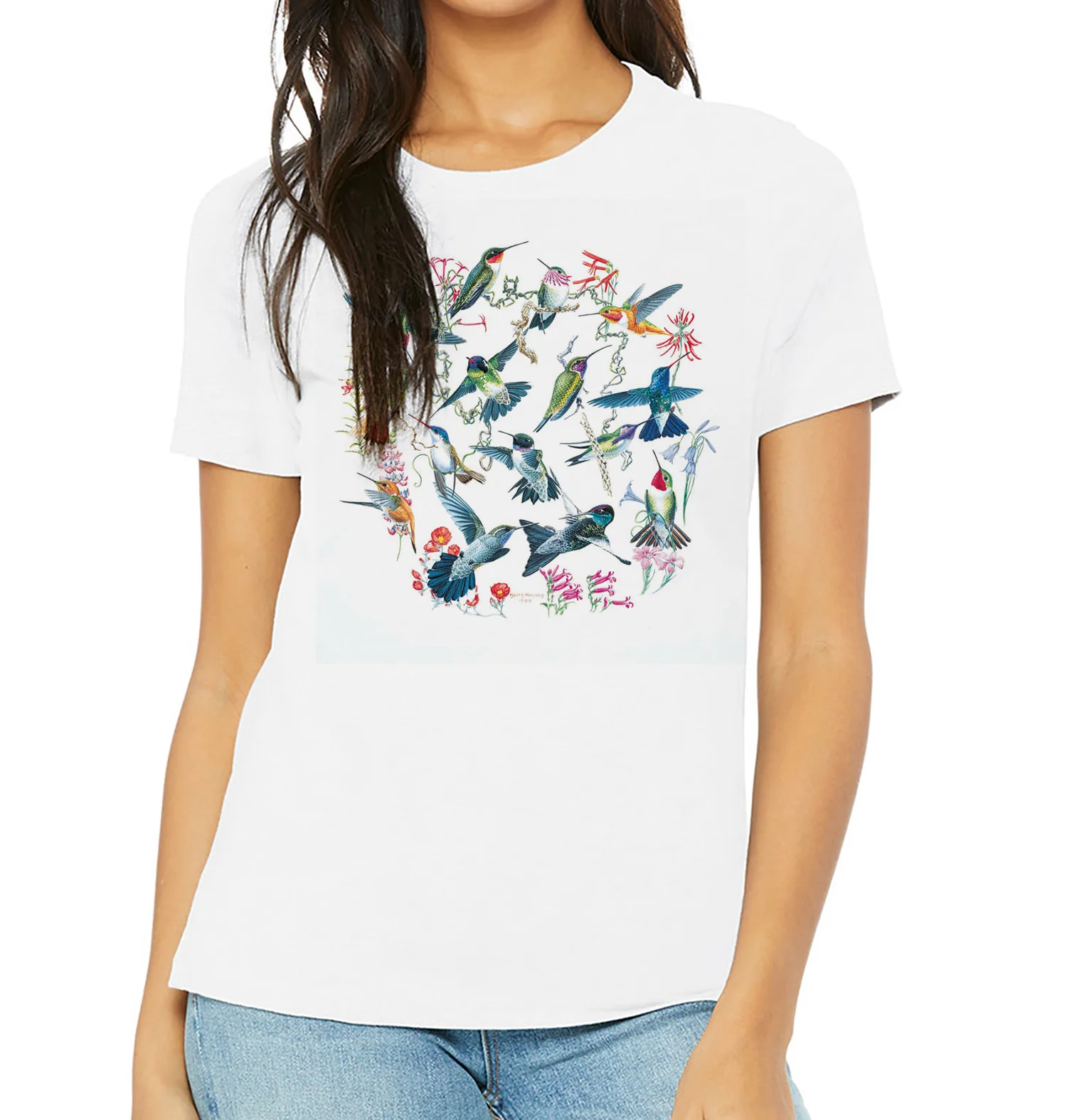 Hummingbirds - Image 4
