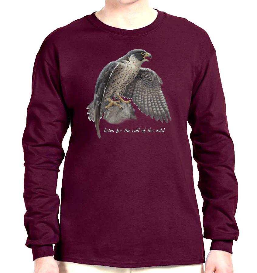 Peregrine Falcon - Image 4