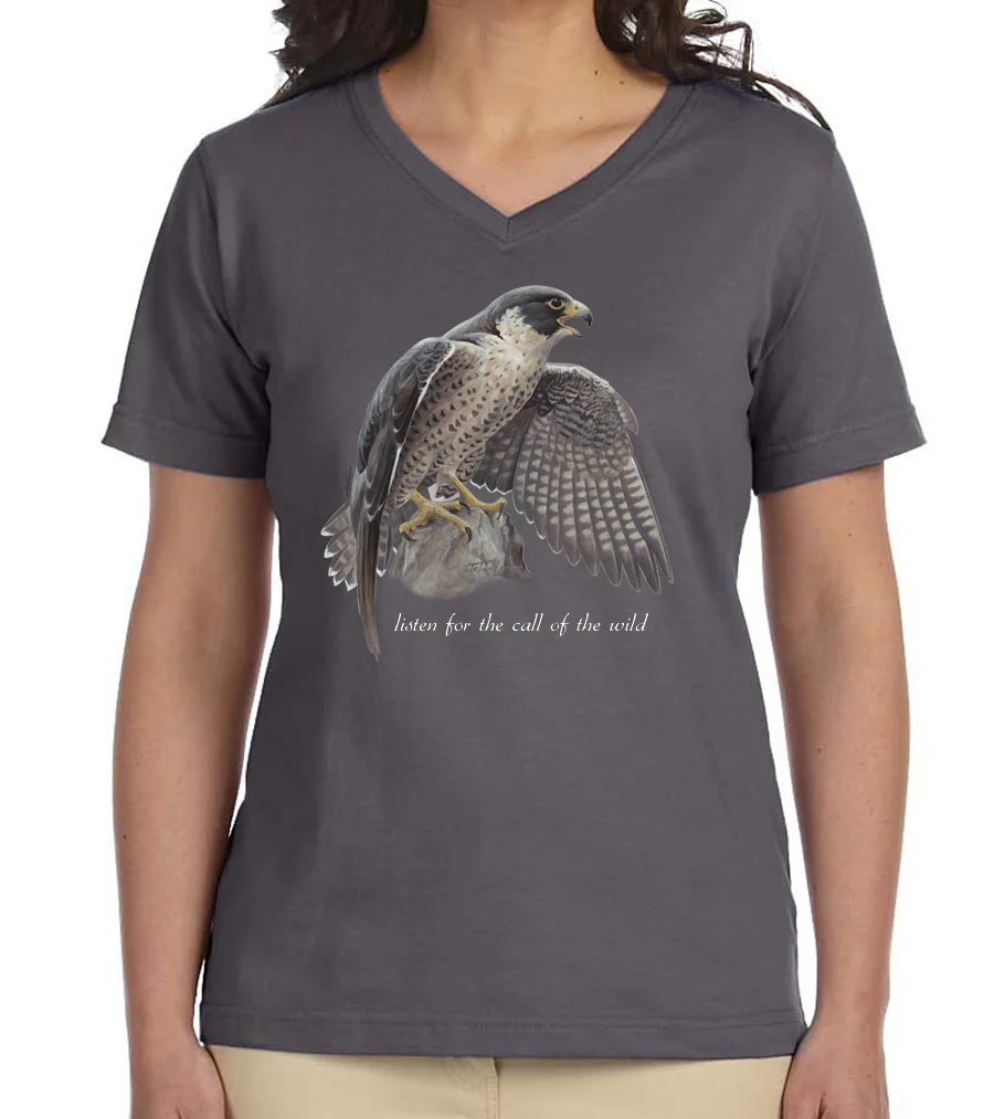 Peregrine Falcon - Image 5