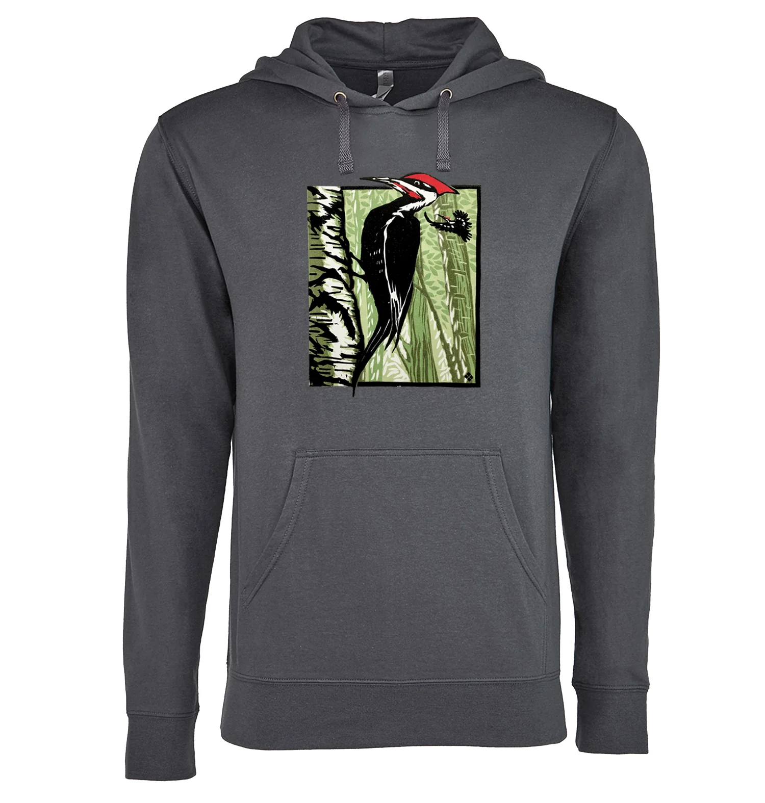 Pileated Woodpecker - Image 5