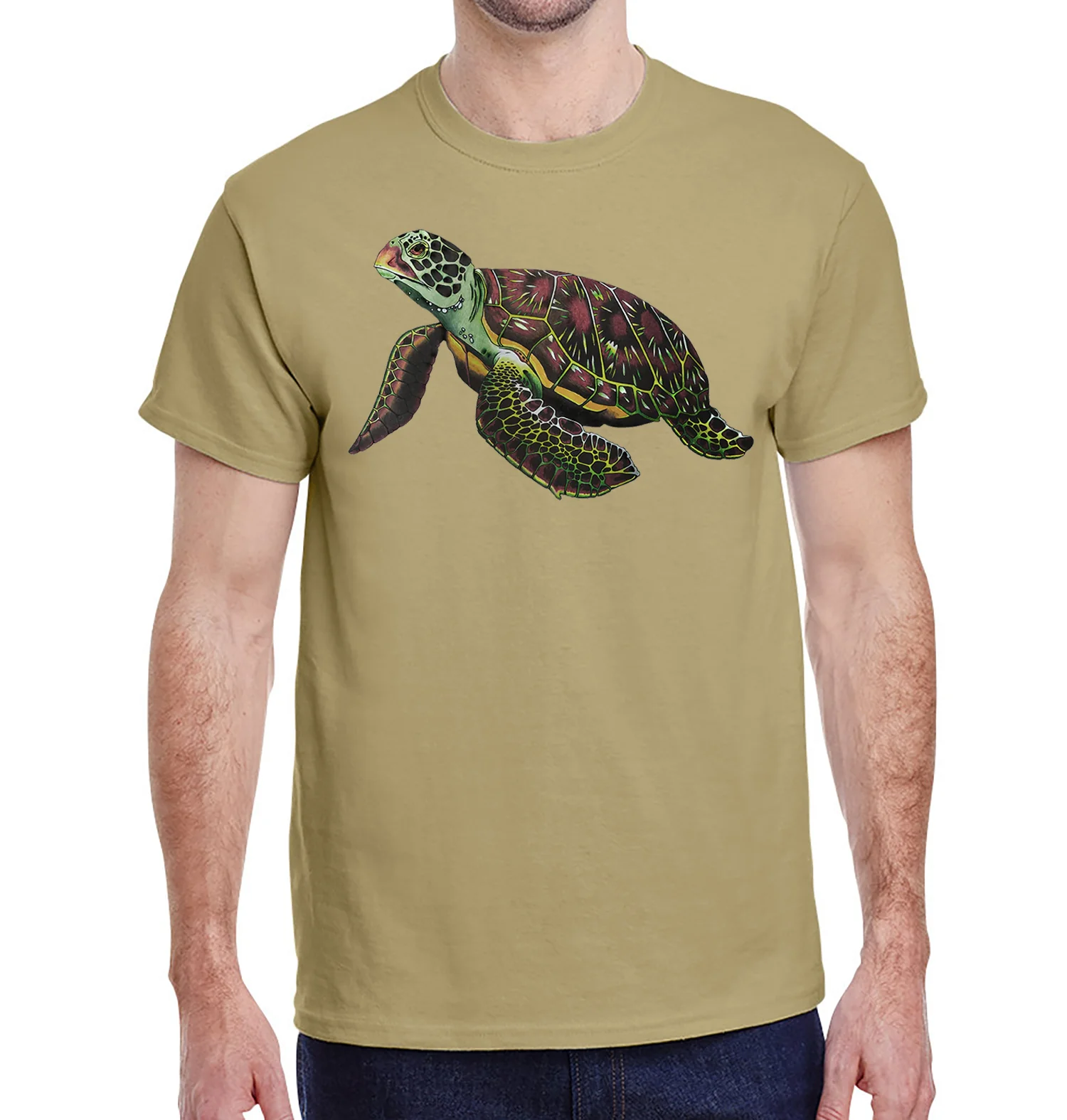 Sea Turtle - Image 3
