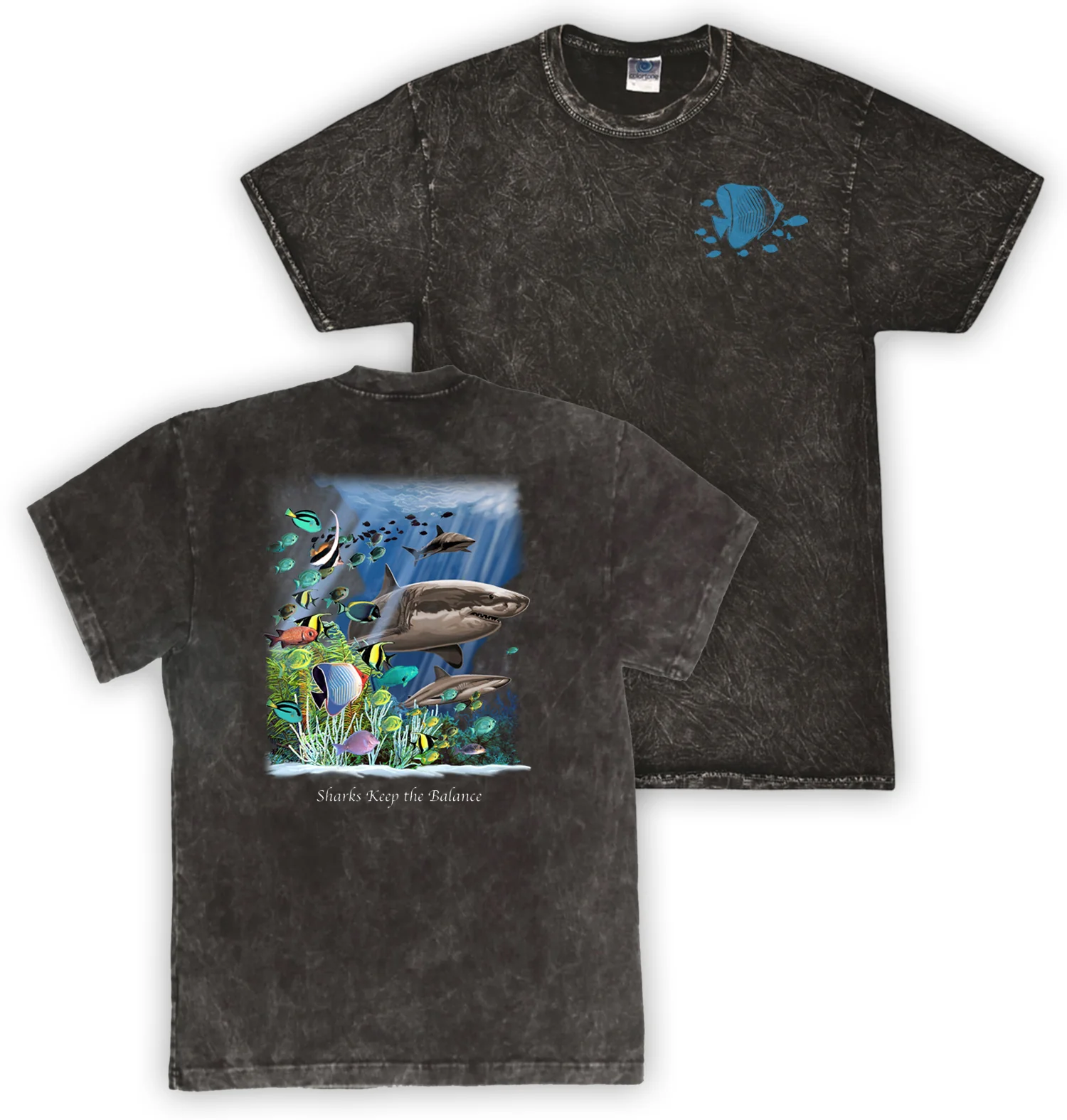 Shark - Image 4